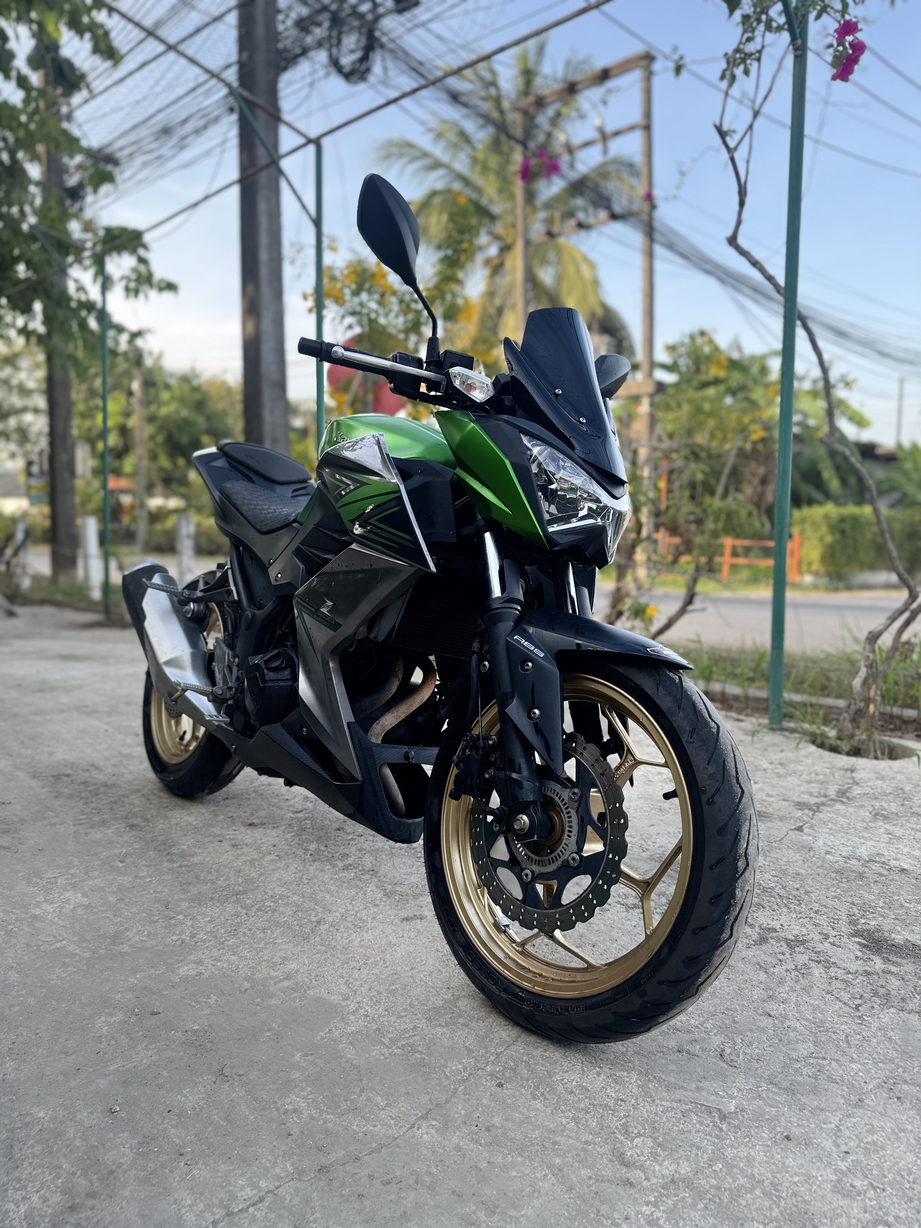 Kawasaki Z300