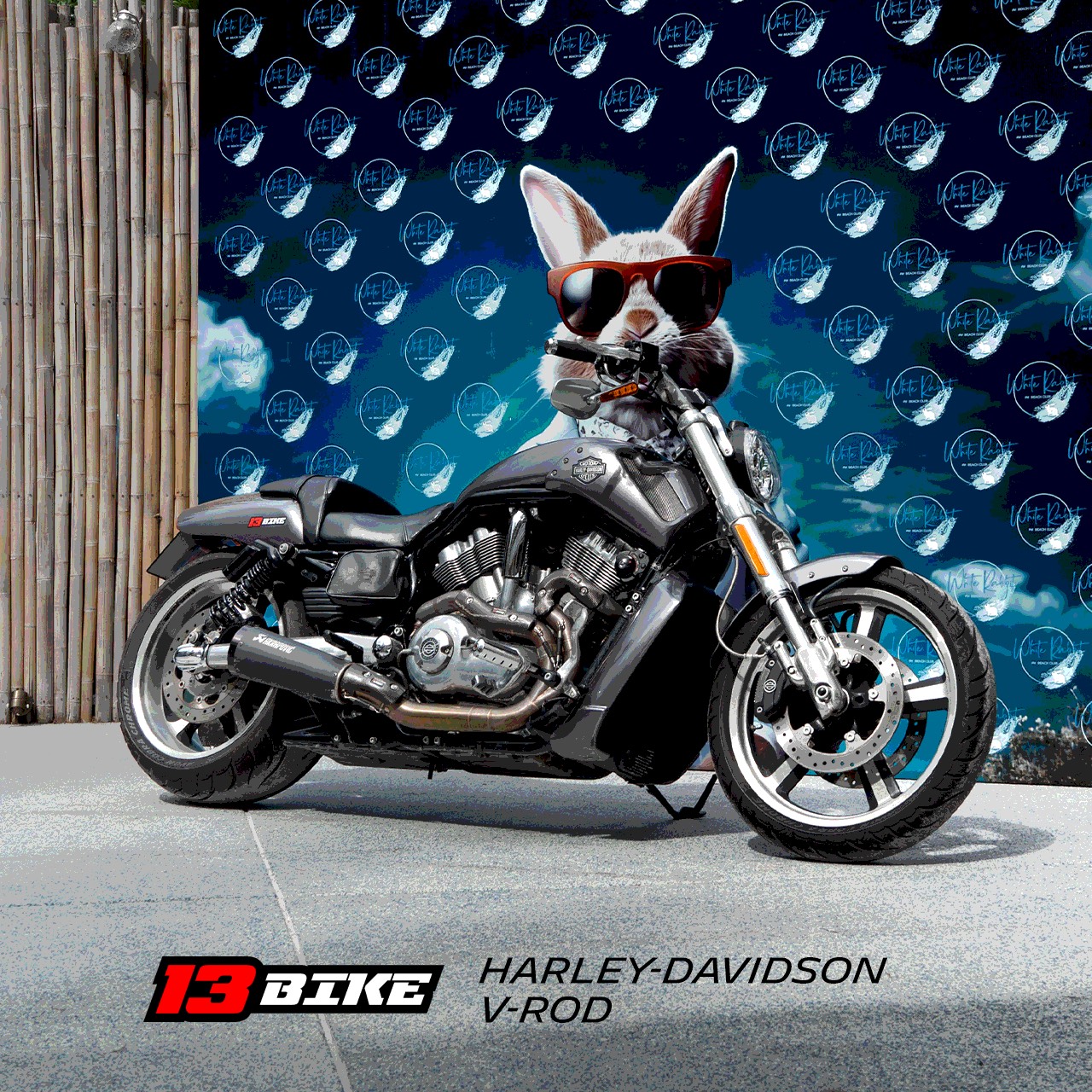 Harley-Davidson V-Rod