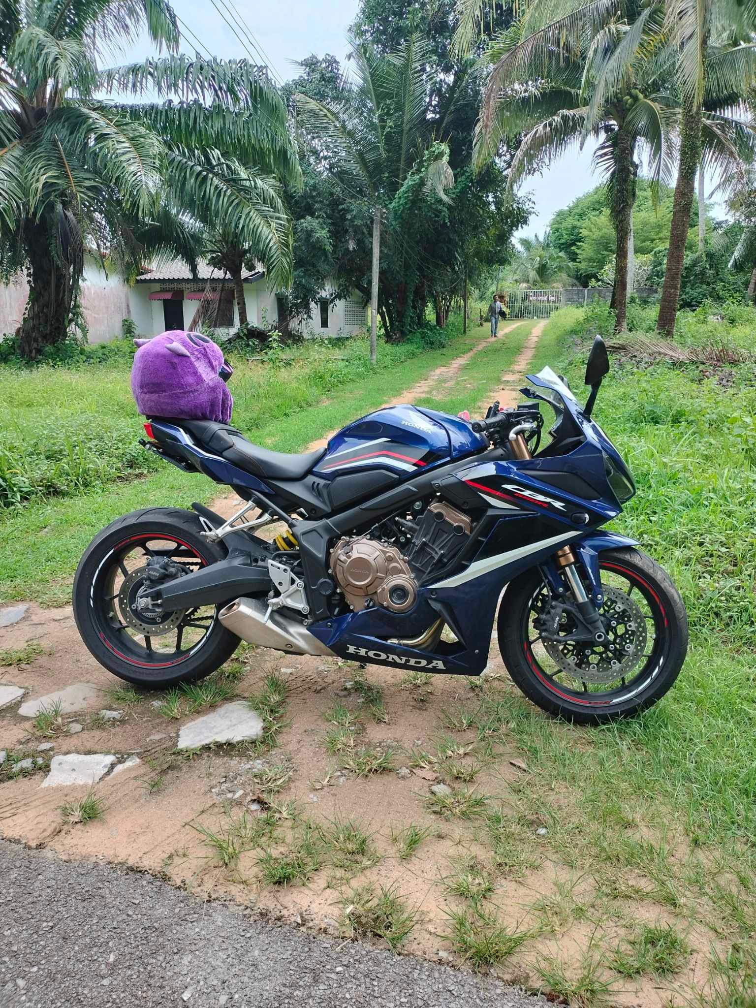 CBR650R